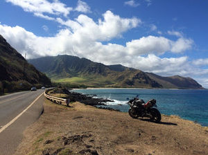 Meet your Posher, Mike